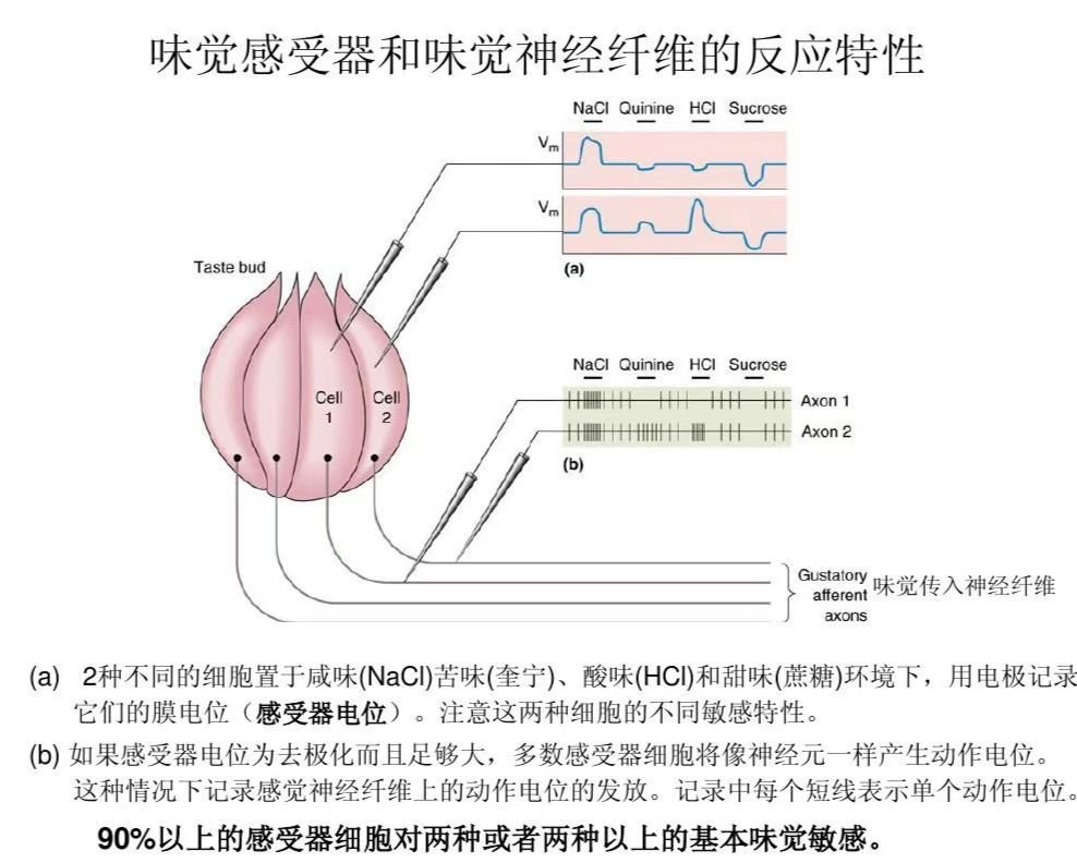 感受到体内那根东西的变化
