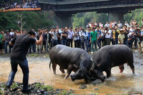 8月11日有什么特殊