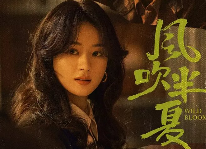 风吹半夏一共多少集