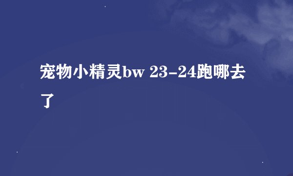 宠物小精灵bw 23-24跑哪去了