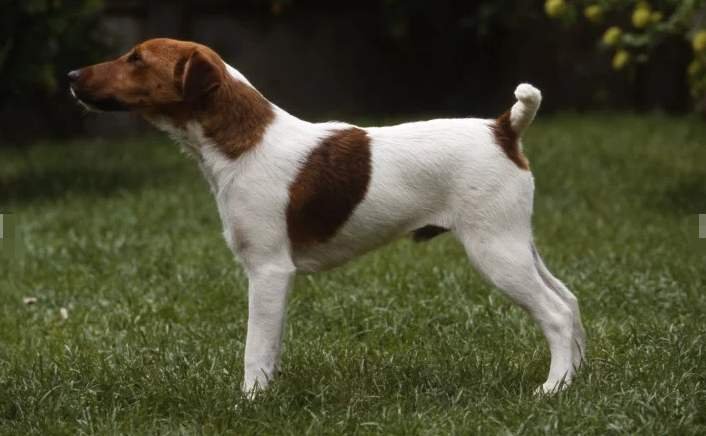 妈妈的好大儿什么梗