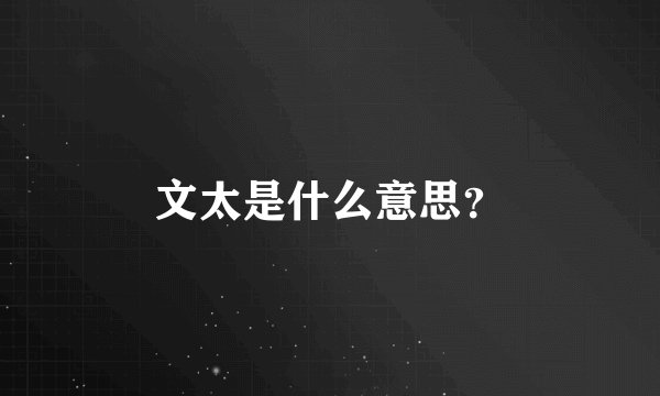 文太是什么意思？