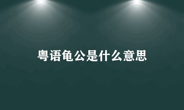 粤语龟公是什么意思