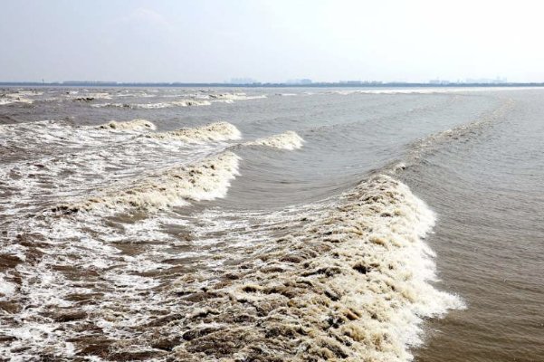 钱塘潮发生在什么时候