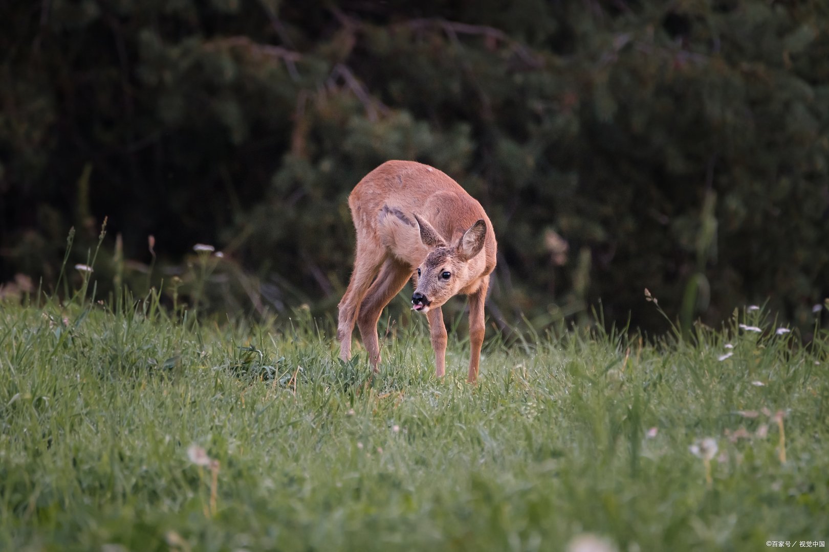 京都协议书制定于哪一年