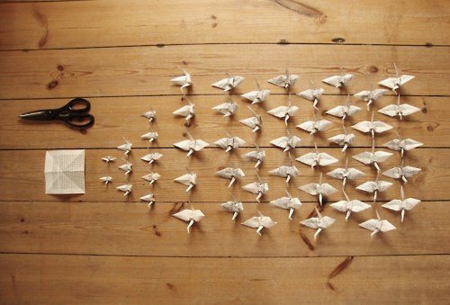 间歇性整理控的行为