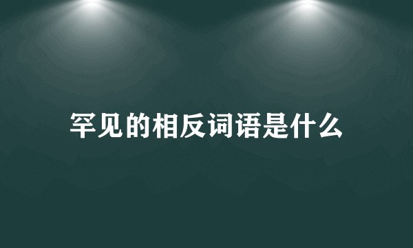 罕见的相反词语是什么