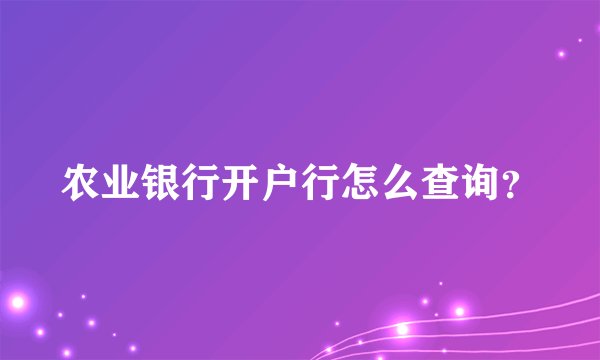 农业银行开户行怎么查询？