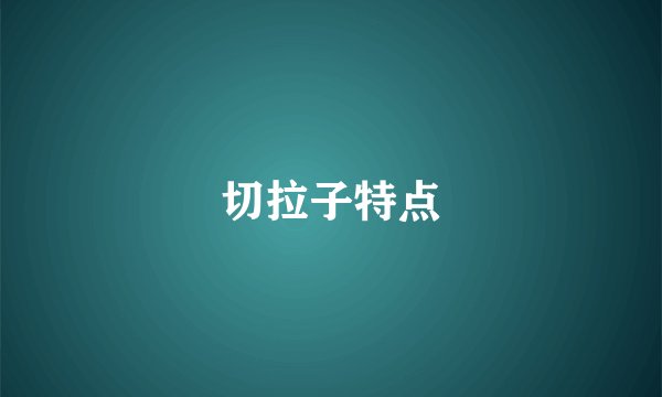 切拉子特点