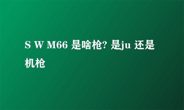 S W M66 是啥枪? 是ju 还是机枪