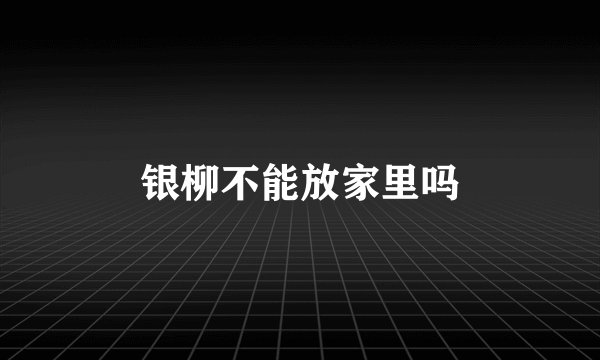 银柳不能放家里吗