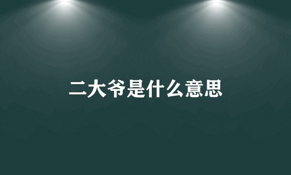 二大爷是什么意思