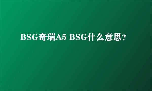 BSG奇瑞A5 BSG什么意思？