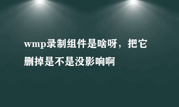 wmp录制组件是啥呀，把它删掉是不是没影响啊