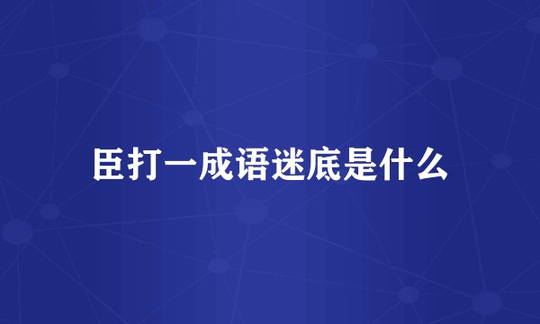 臣打一成语迷底是什么