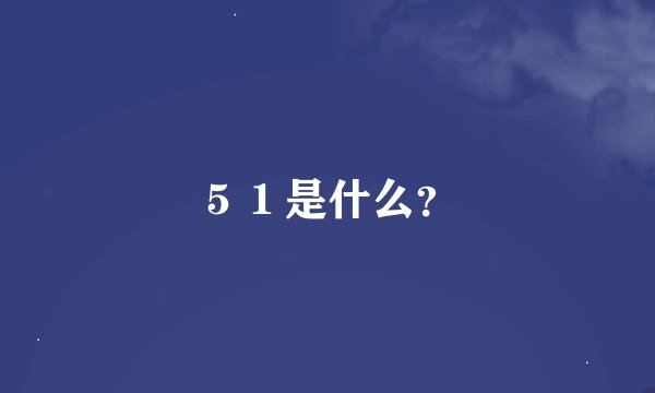 ５１是什么？