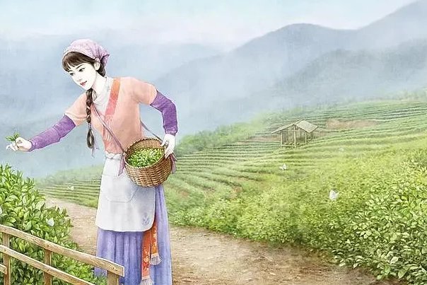 女主叫苏采薇的小说