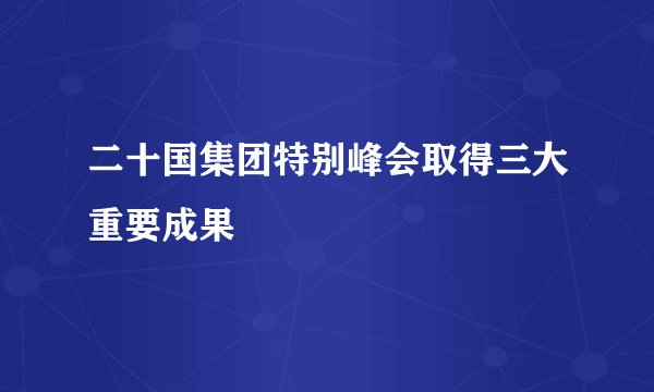 二十国集团特别峰会取得三大重要成果