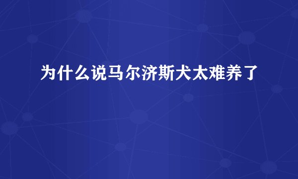 为什么说马尔济斯犬太难养了