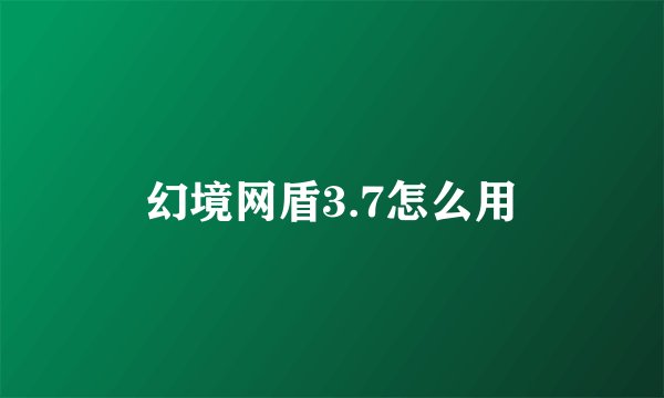 幻境网盾3.7怎么用