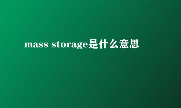 mass storage是什么意思