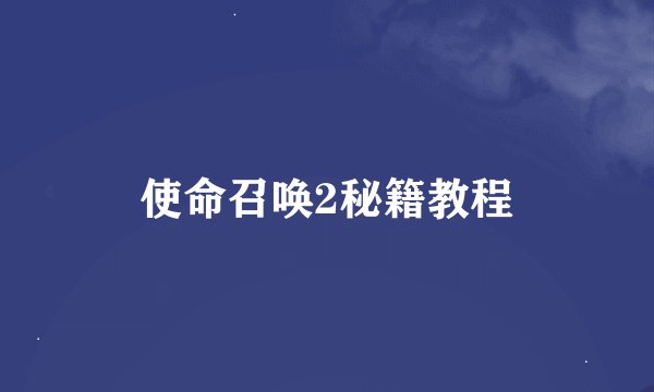 使命召唤2秘籍教程