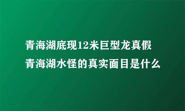 青海湖底现12米巨型龙真假 青海湖水怪的真实面目是什么