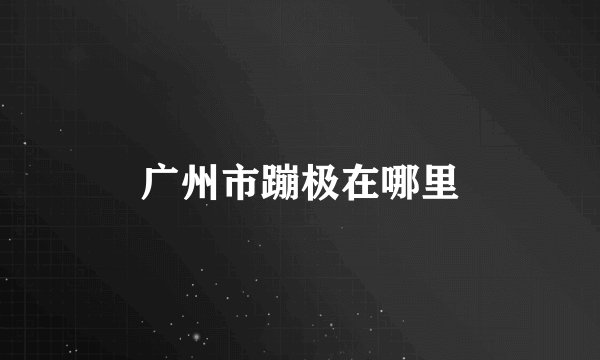 广州市蹦极在哪里