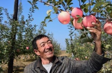 陕西省延安市志丹县的地貌是什么样子的？