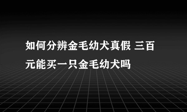 如何分辨金毛幼犬真假 三百元能买一只金毛幼犬吗