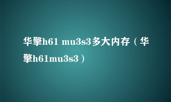 华擎h61 mu3s3多大内存（华擎h61mu3s3）