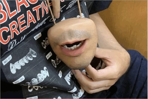 hentai什么意思？