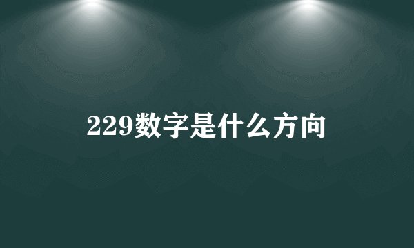 229数字是什么方向
