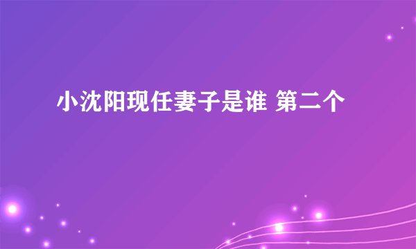 小沈阳现任妻子是谁 第二个