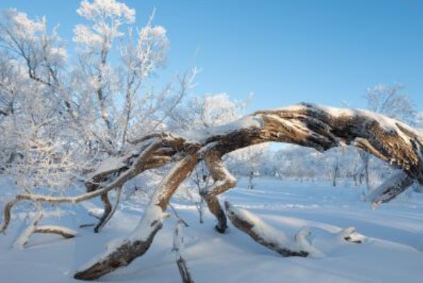 大雪小雪煮饭不息表达的意思是