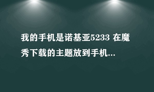 我的手机是诺基亚5233 在魔秀下载的主题放到手机里，说是格式不对，也无法打开。