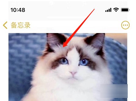 如何把两张相片合成一张？
