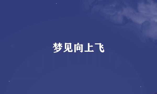 梦见向上飞