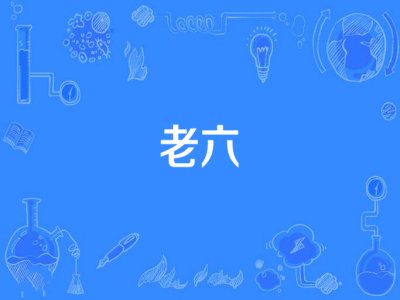 老六是什么意思？