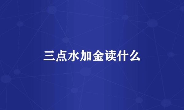 三点水加金读什么