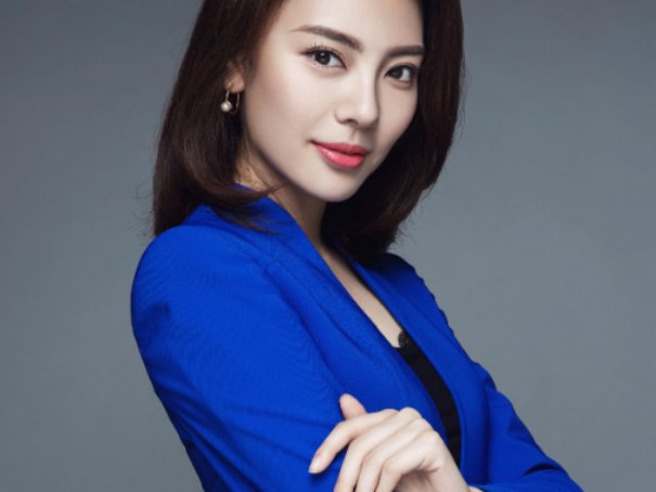 央视元旦晚会主持人