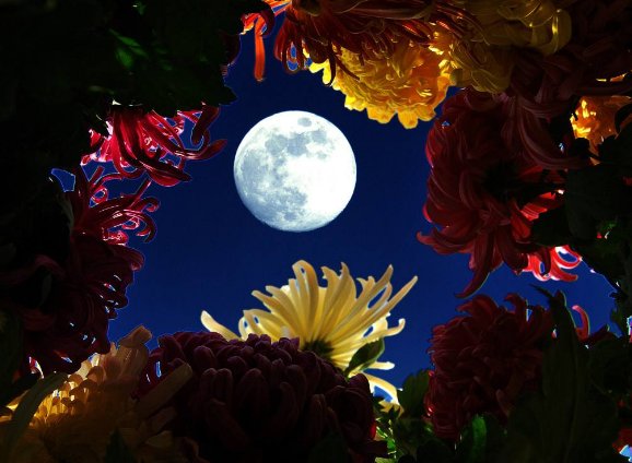 花好月圆下一句是什么?