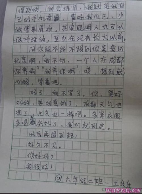 王乐乐的情书内容简介