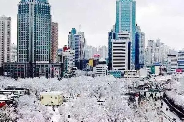 大雪节气谁是大雪王