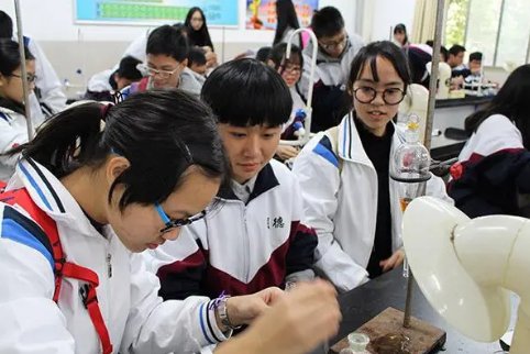 化学变化又叫做什么