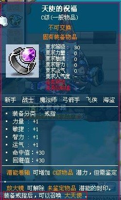 冒险岛 身后 两个精灵是什么