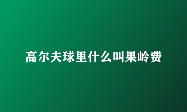 高尔夫球里什么叫果岭费