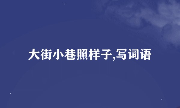 大街小巷照样子,写词语
