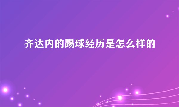 齐达内的踢球经历是怎么样的