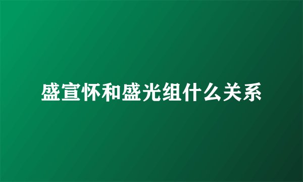 盛宣怀和盛光组什么关系